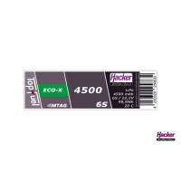 TF ECO-X 4500-6S MTAG
