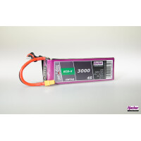 TF ECO-X 3000-4S MTAG